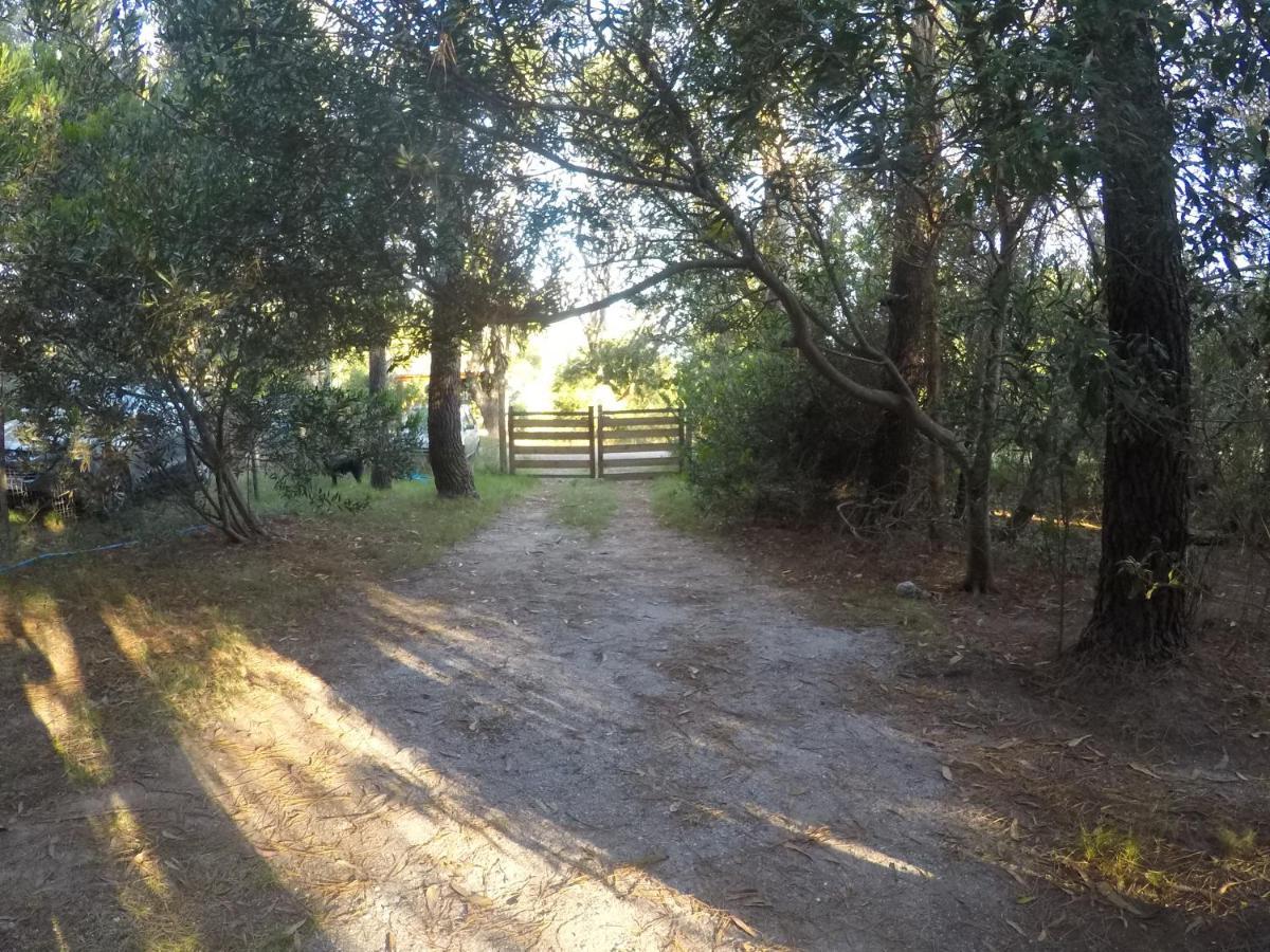 Villa No Estamos Locos Piriápolis Esterno foto